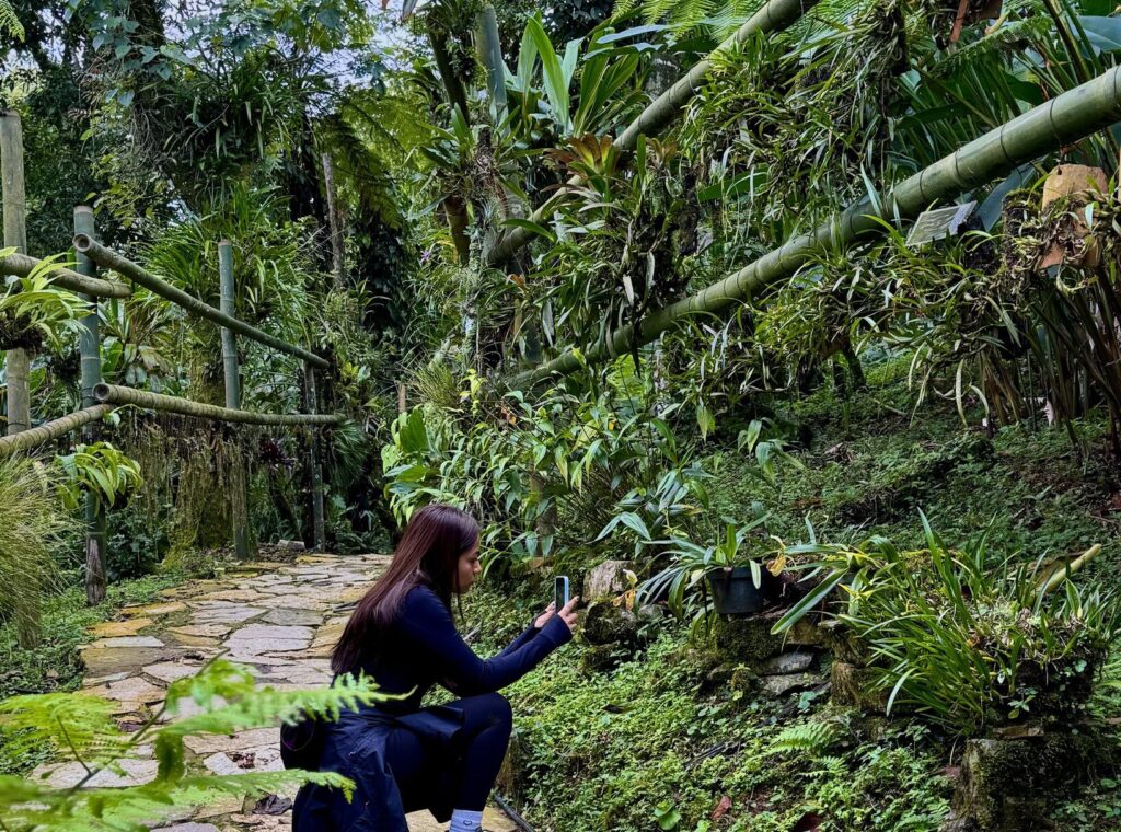 Tour Jardín Botánico