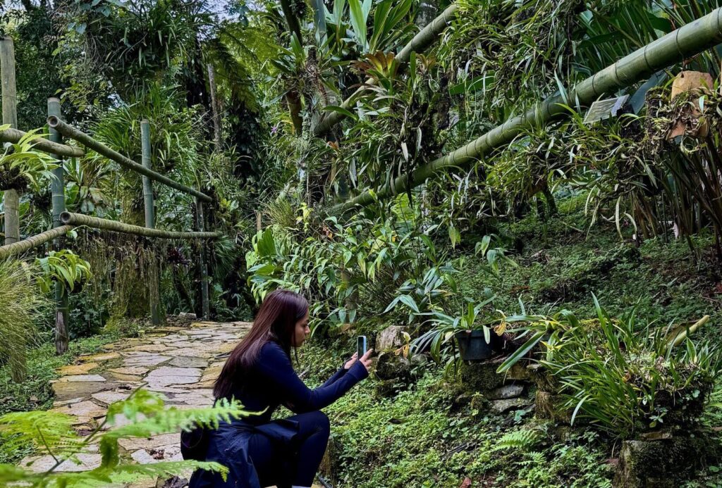 Tour Jardín Botánico