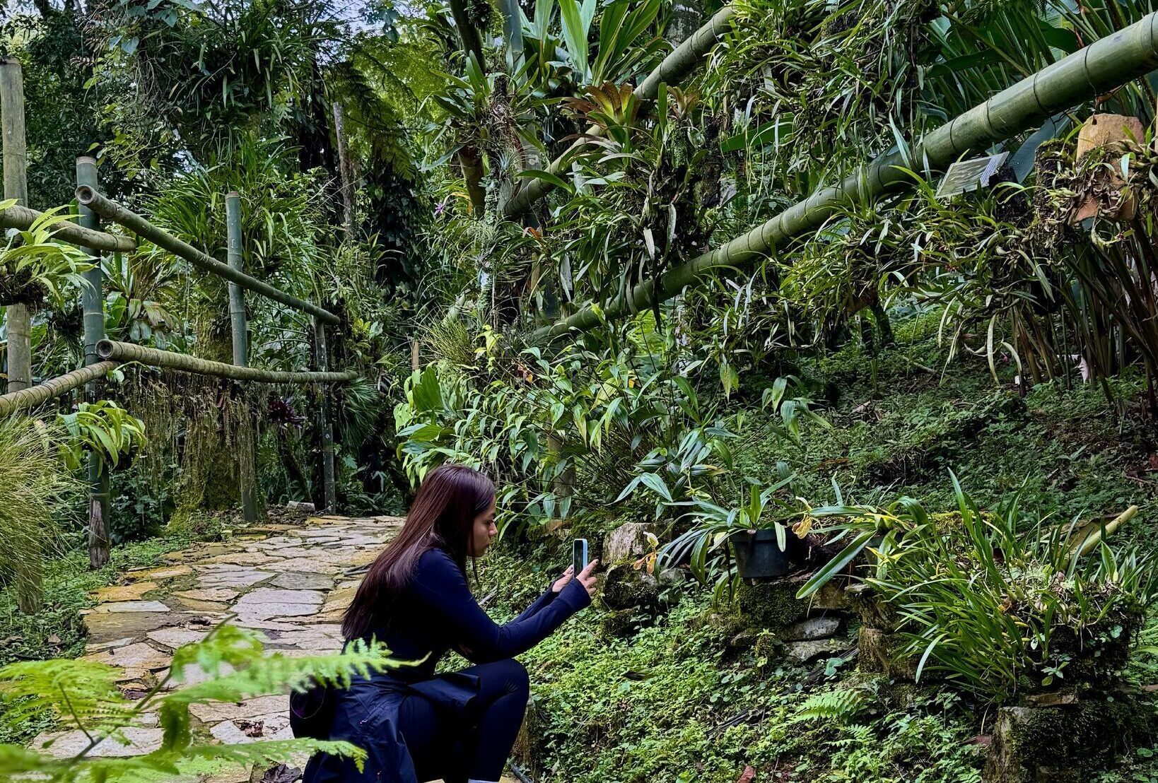 Tour Jardín Botánico