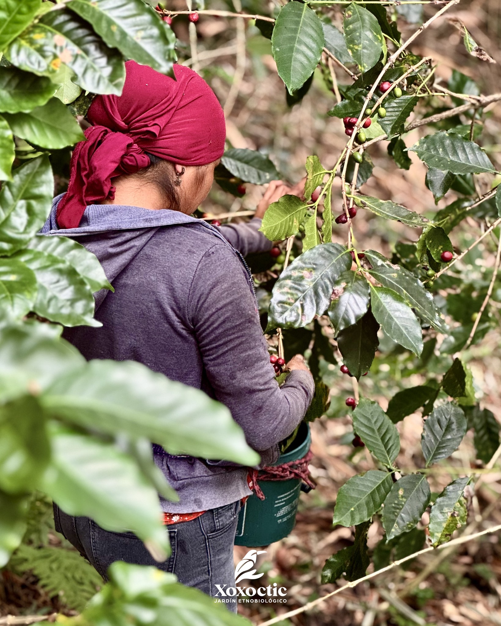 619400832_1514900230636752_3170350445382681349_n