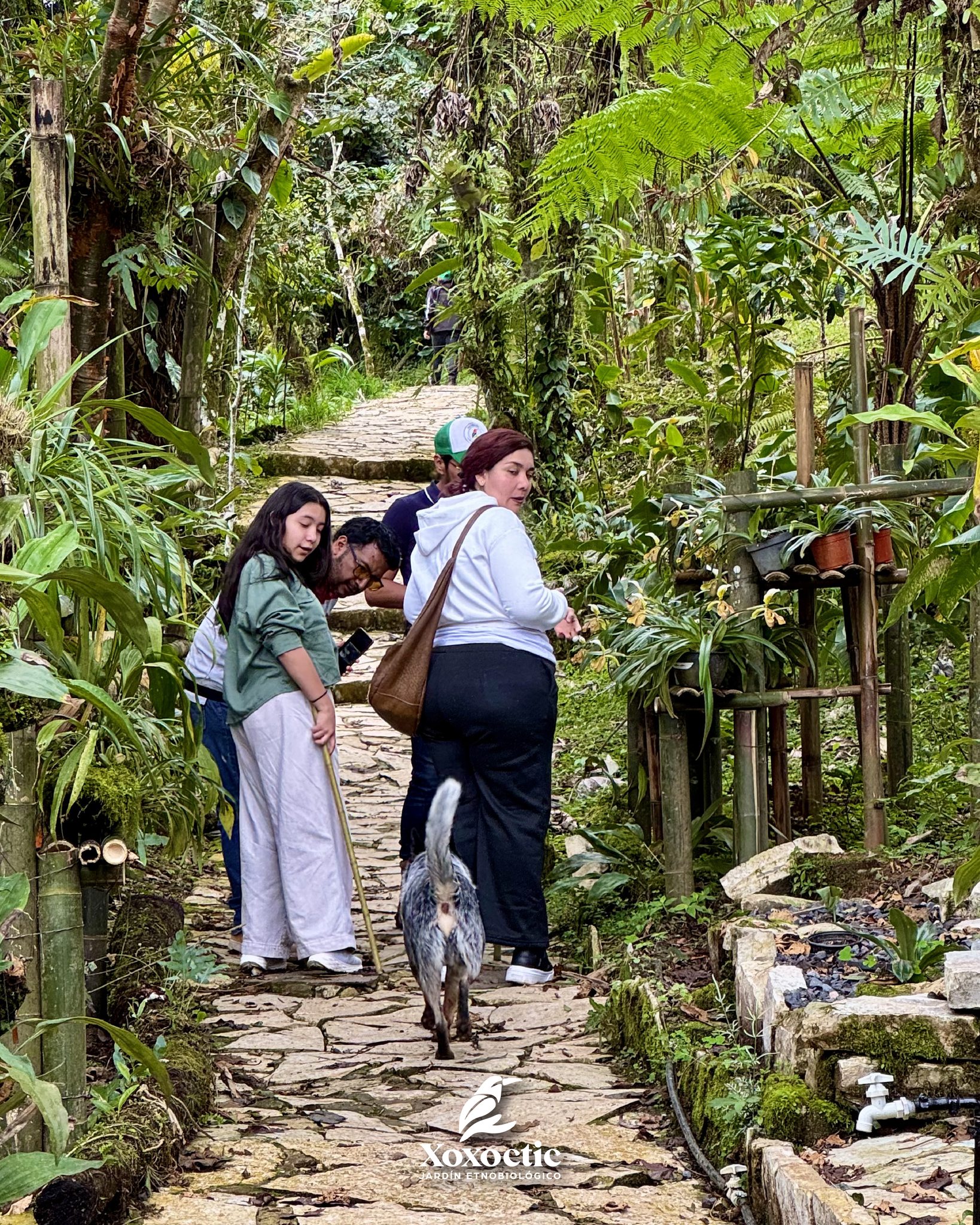 623418793_1525235352936573_3102835477701378060_n